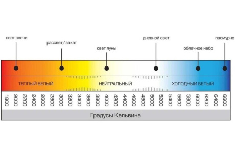 Купить Лампа св.диод. 8W шарик Е14 3000K  IN HOME фото №3